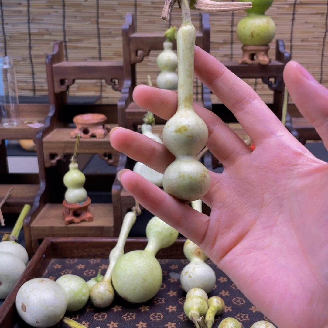 黑***墨我们的生活方式就是这样一