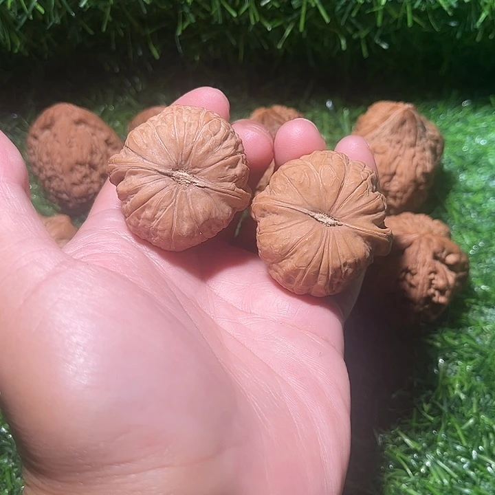 吊坠龙脊菩提南瓜墩