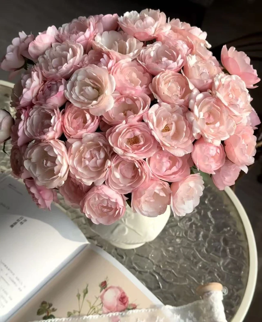 【全疆京东包邮】草莓杏仁饼多头泡泡玫瑰10枝