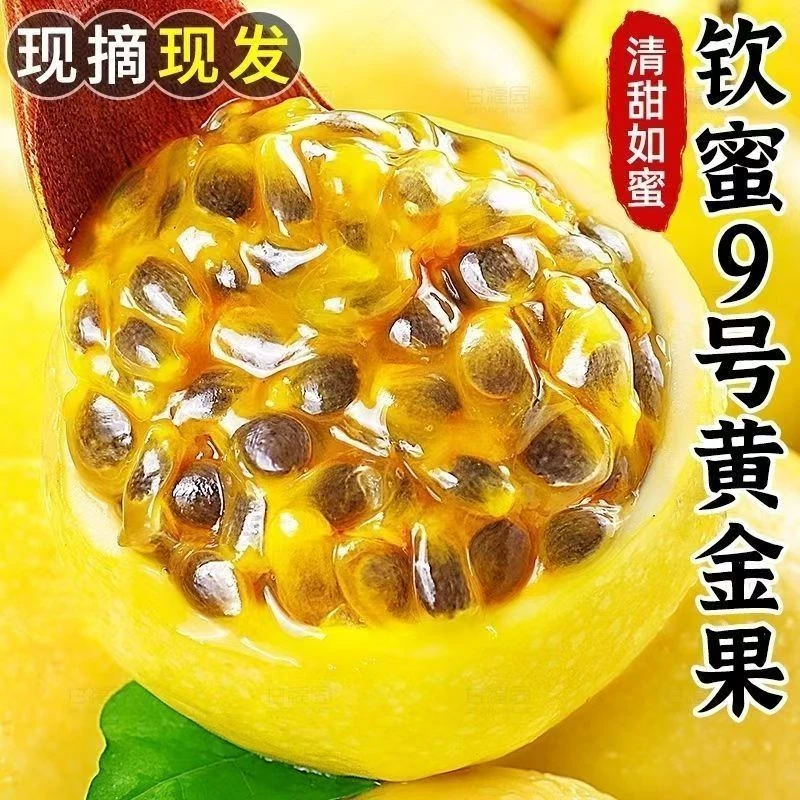 正宗广西钦蜜九号黄金百香果现摘新鲜孕妇当季大果直发奶茶店鲜果