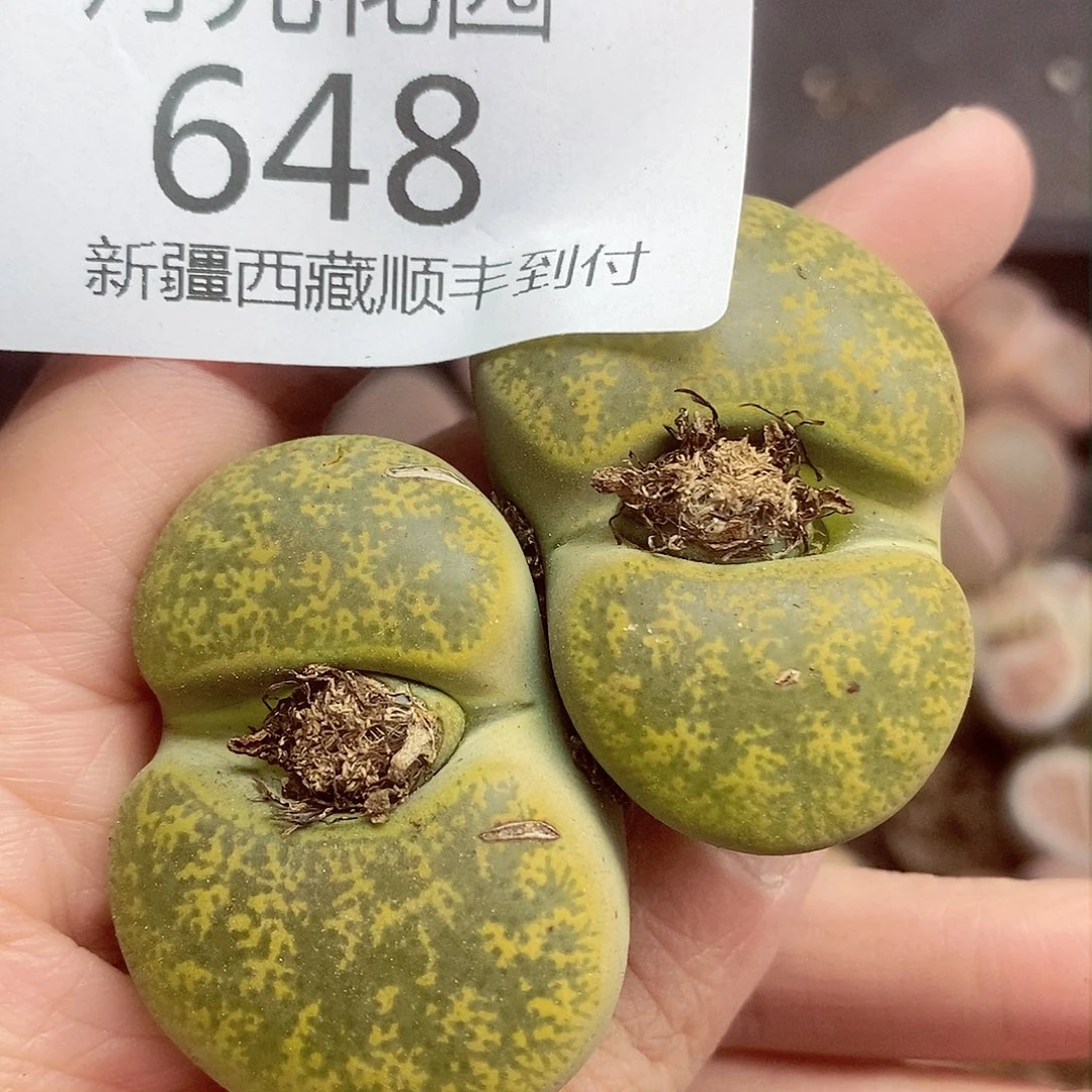 我们还不一定在一楼648