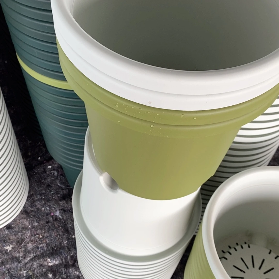 大*姐32口白口白绿各2个无