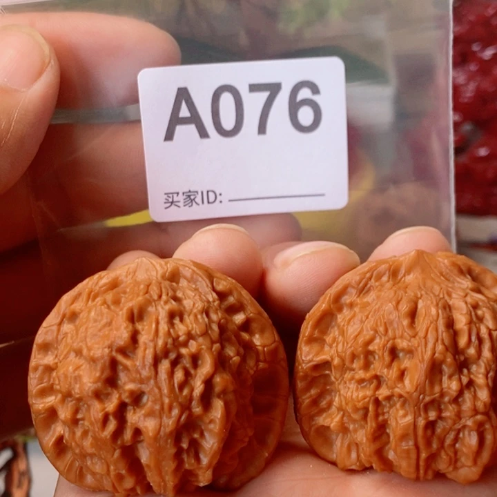 m***42尺大血麒麟076号