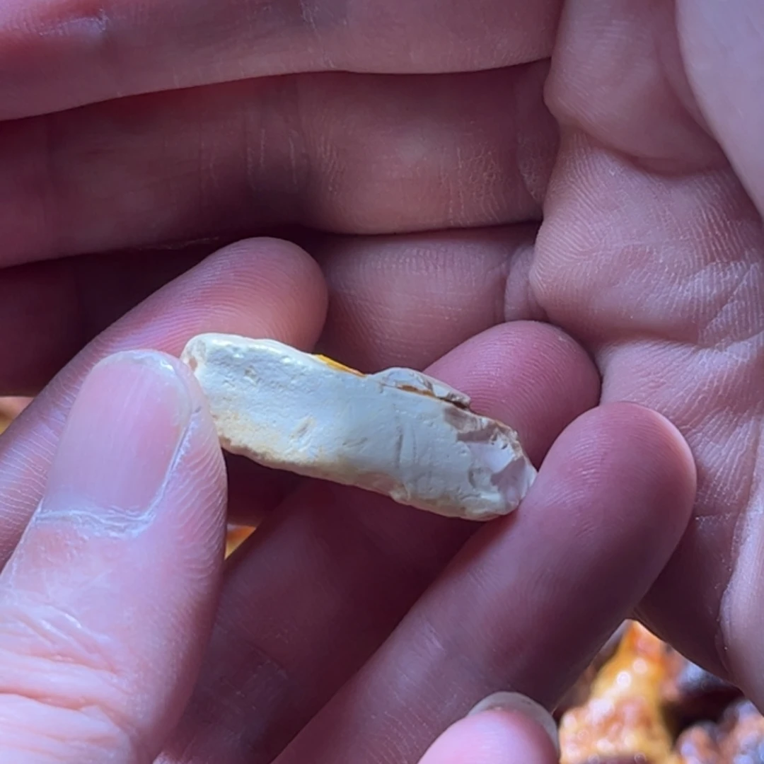 阿***夫定制琥珀未镶嵌蜜蜡