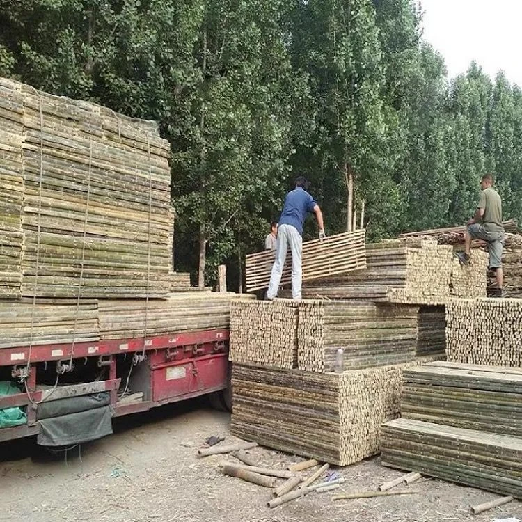 加厚羊床漏粪板竹羊舍羊圈养殖场鸡鸭鹅床竹架板竹笆子羊鸡场用品