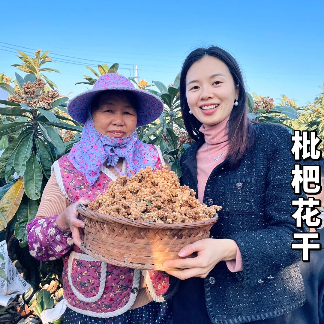 福建漳州云霄2024年枇杷干花 秋冬必备 250g和500g可选中通包邮