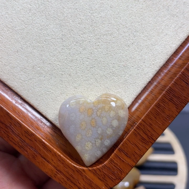 硅化玉未镶嵌颈饰k22