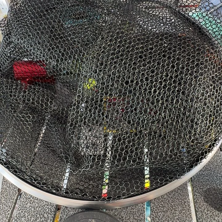 18号抄网头不退不换满10发货