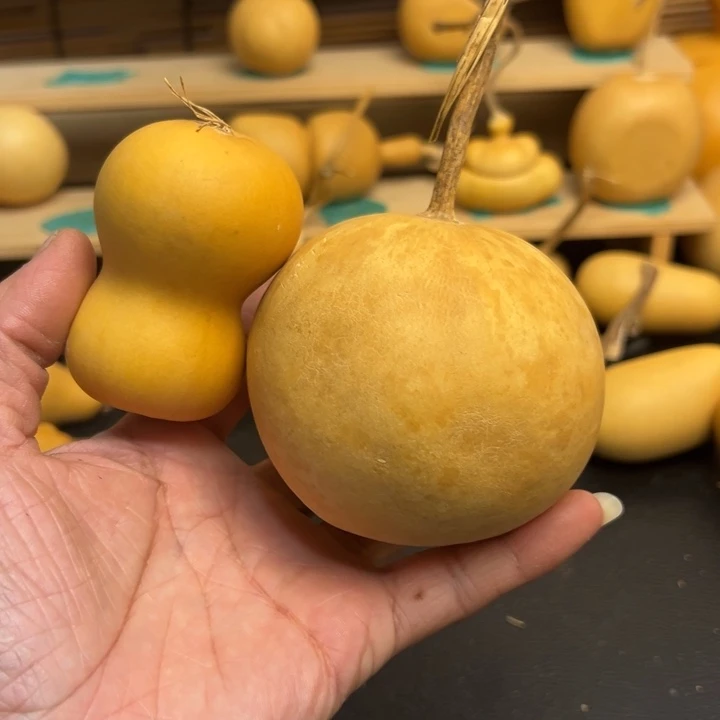 ⭐**前葫芦葫芦葫芦葫芦葫芦葫芦