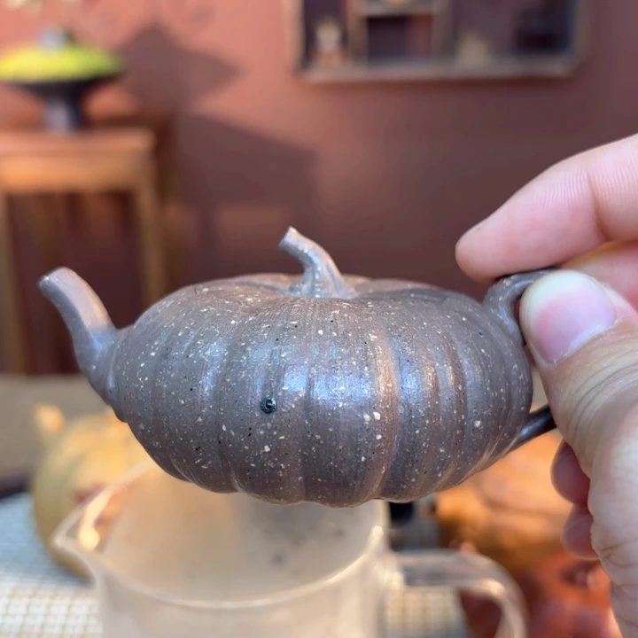 紫砂茶壶品*紫砂我做的