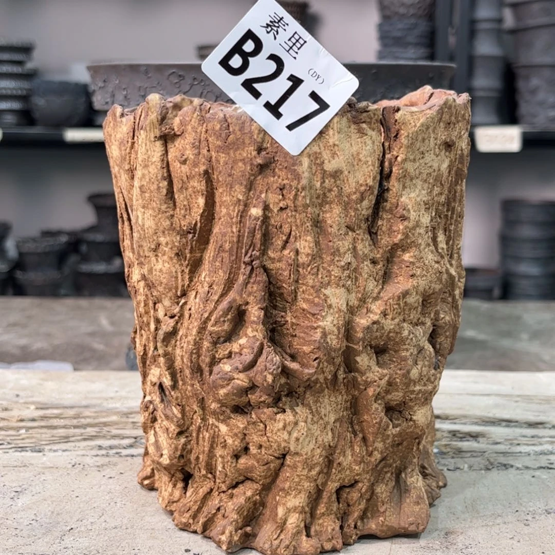 陶内口12高15瑕疵高洪波vv