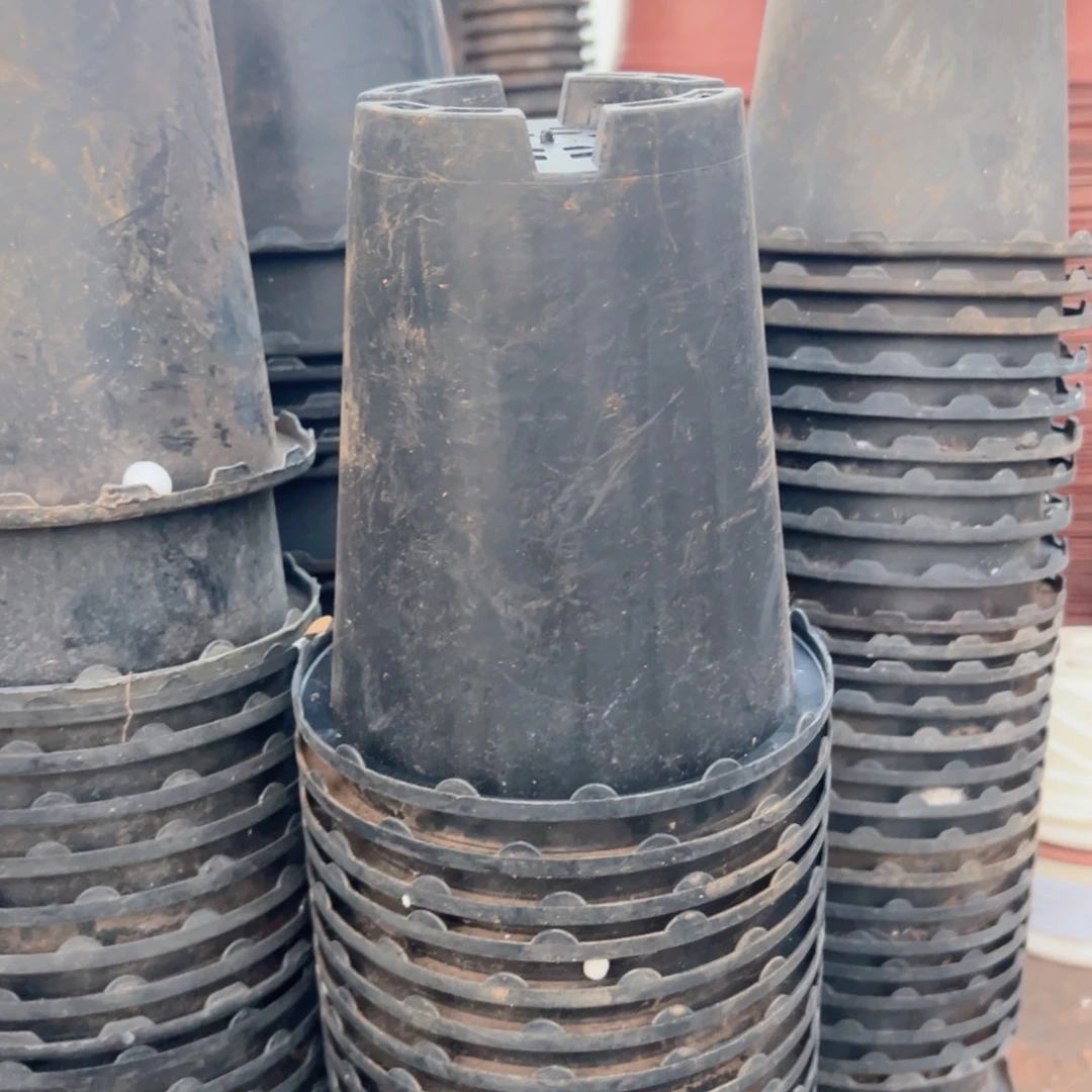 花边兰花万象盆14.5口径16高 12个