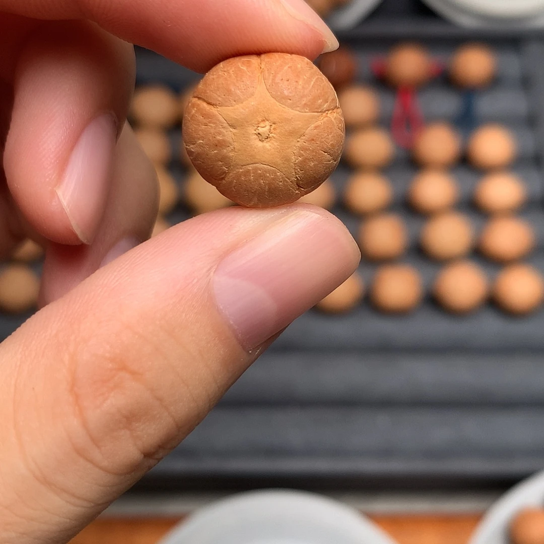 吊坠凤眼菩提打孔不退不换