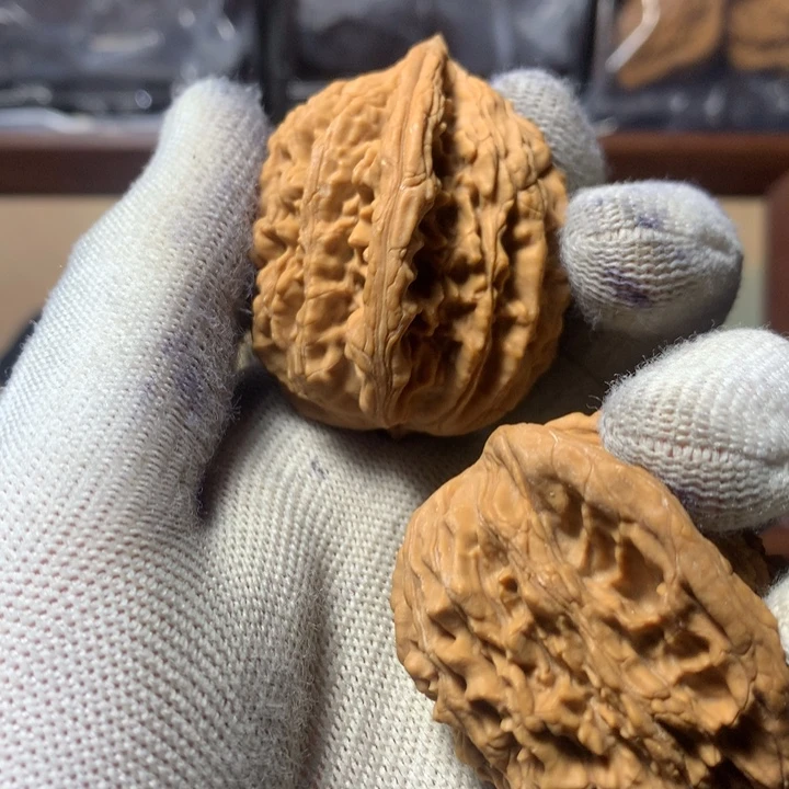 7***5哈哈哈哈哈哈哈哈