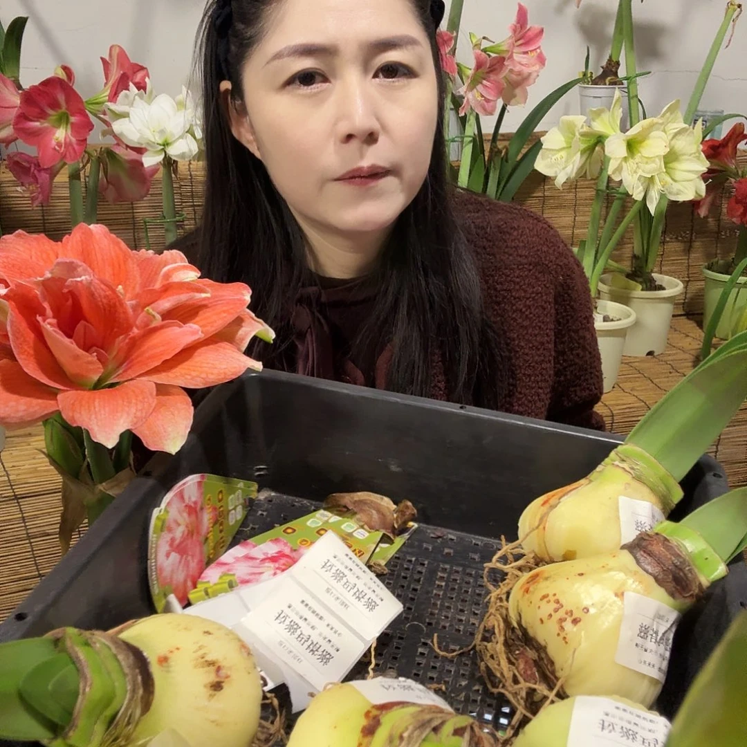 拉滋玛塔滋福利长花剑