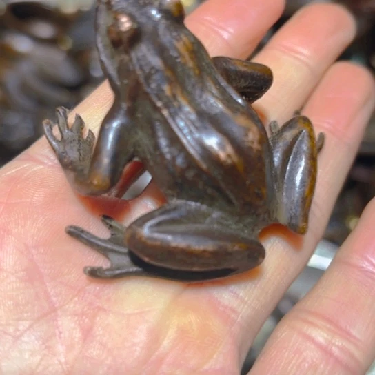 铜铜铜铜铜铜铜铜铜铜