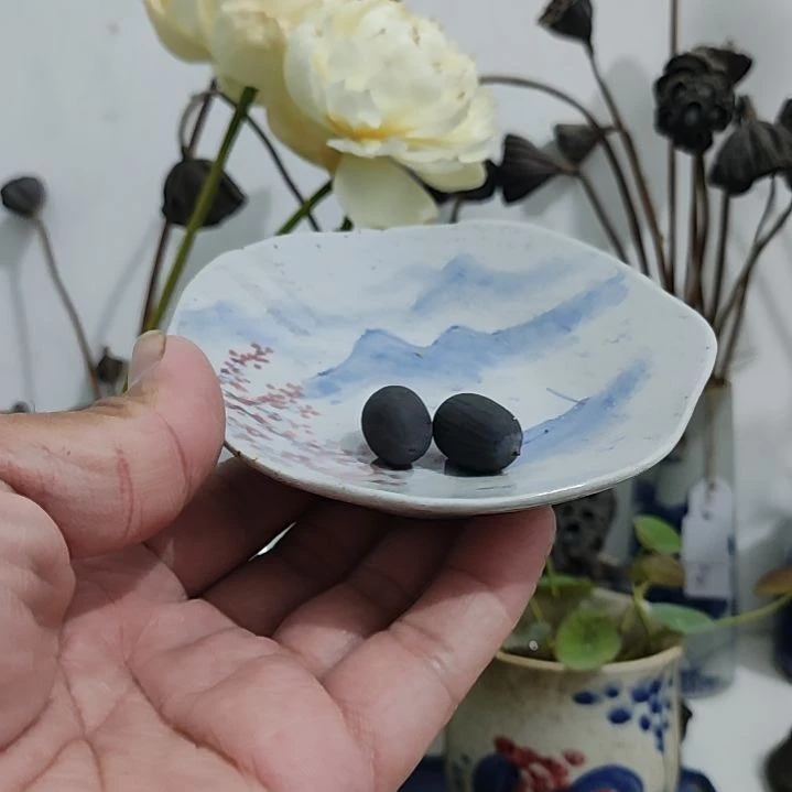 当前无花栽培后可以开花莲子2粒，送800g碗莲土