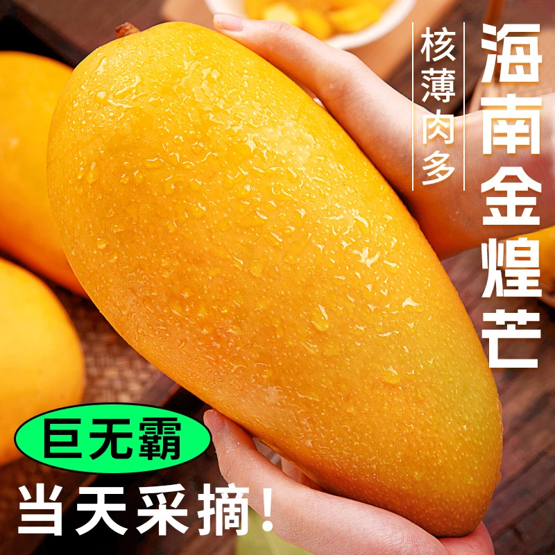 正宗海南金煌芒果新鲜香甜多汁热带水果贵妃青芒小台芒产地直发