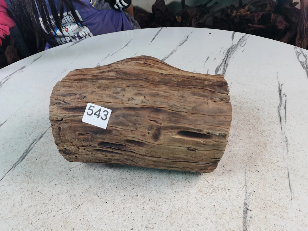 云南紫柚木沉木543