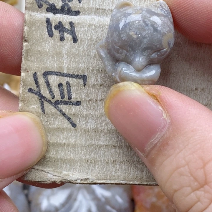 颈饰未镶嵌硅化珊瑚（珊瑚玉）R*小