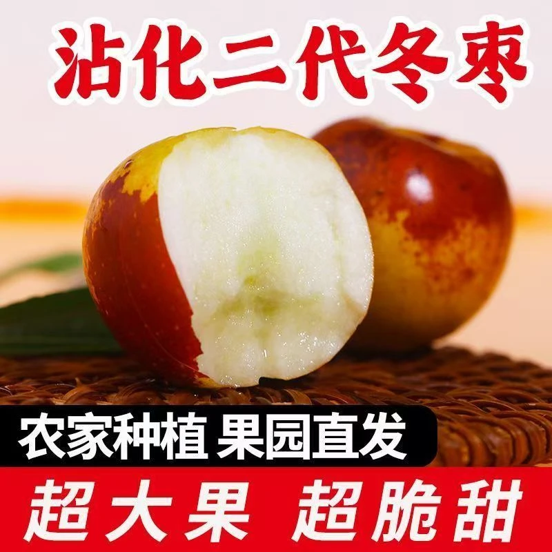【二代冬枣】山东沾化特产冬枣新鲜脆甜多汁应季水果现摘现发包邮
