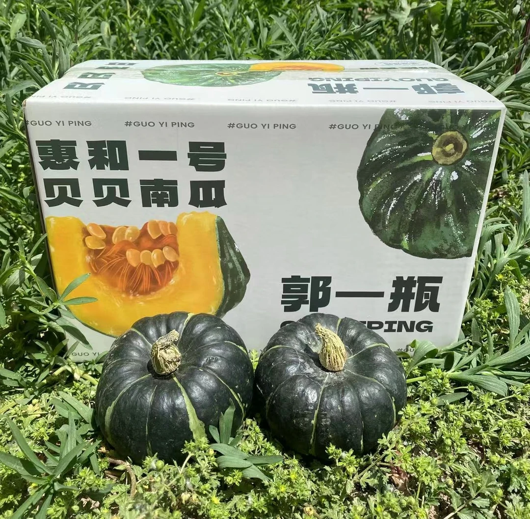 【中通】郭一瓶惠合贝贝南瓜净重5斤6-10个果已糖化
