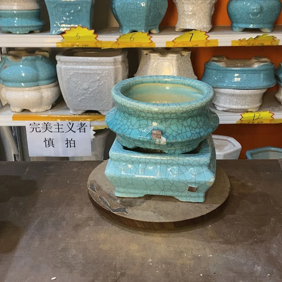 B****f花盆里放着一个小