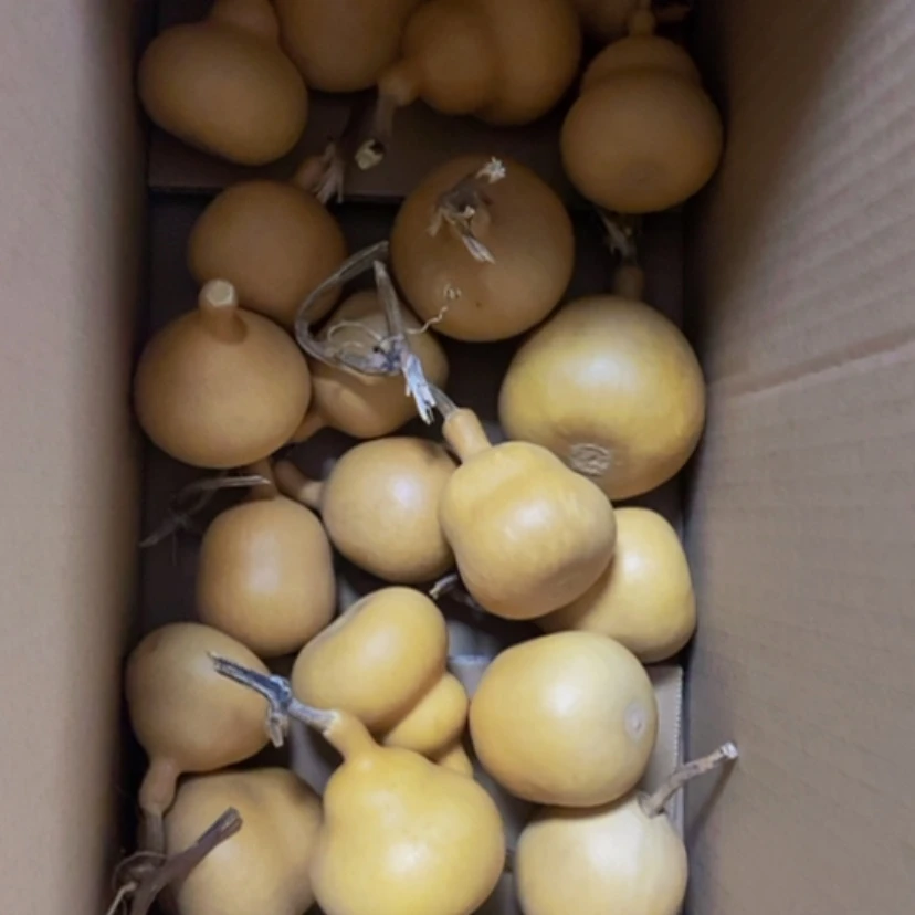 【闪购商品】二十个胖墩60块钱