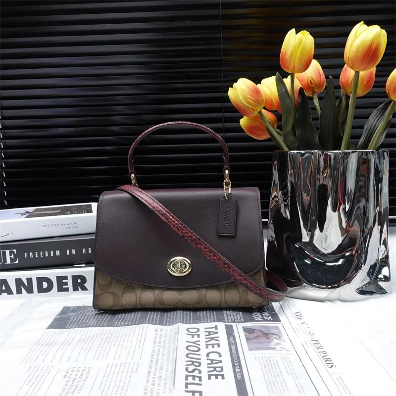 95新 COACH/蔻驰 单肩包/T_ZY0000419623