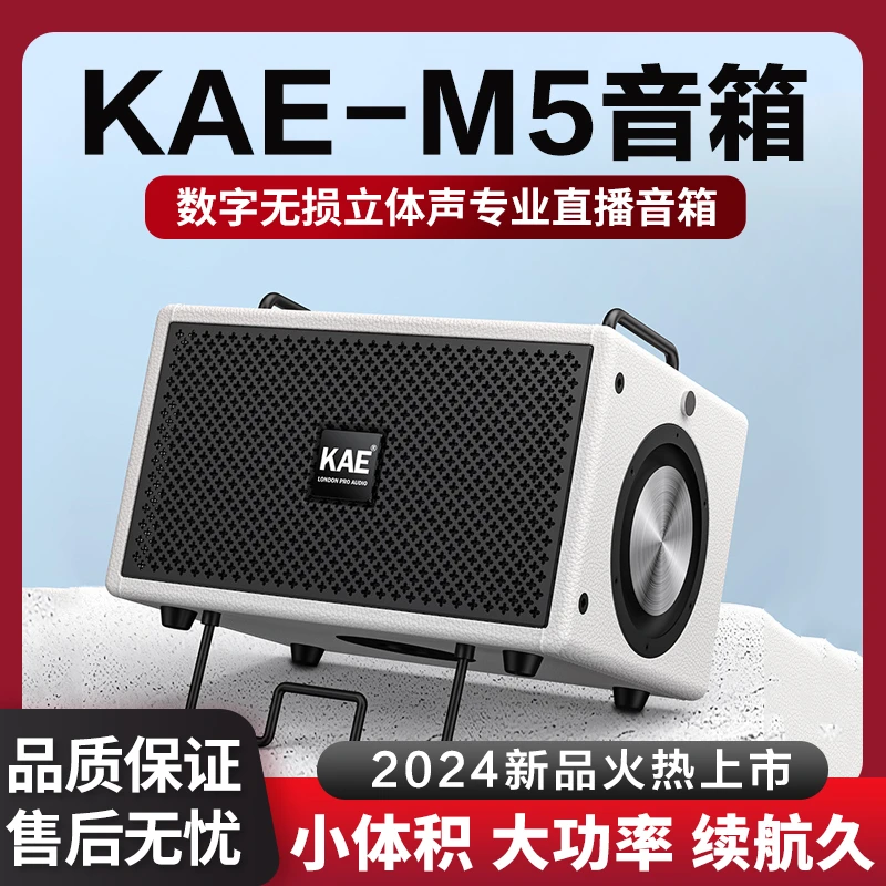 KAEM5音箱户外弹唱音响数字无损环绕立体声专业舞台直播电吹管