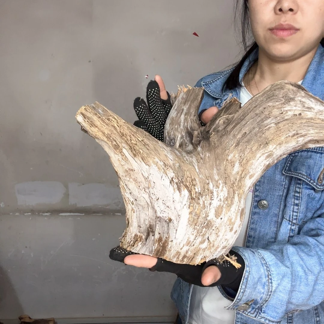完***界木太行崖柏摆件摆件