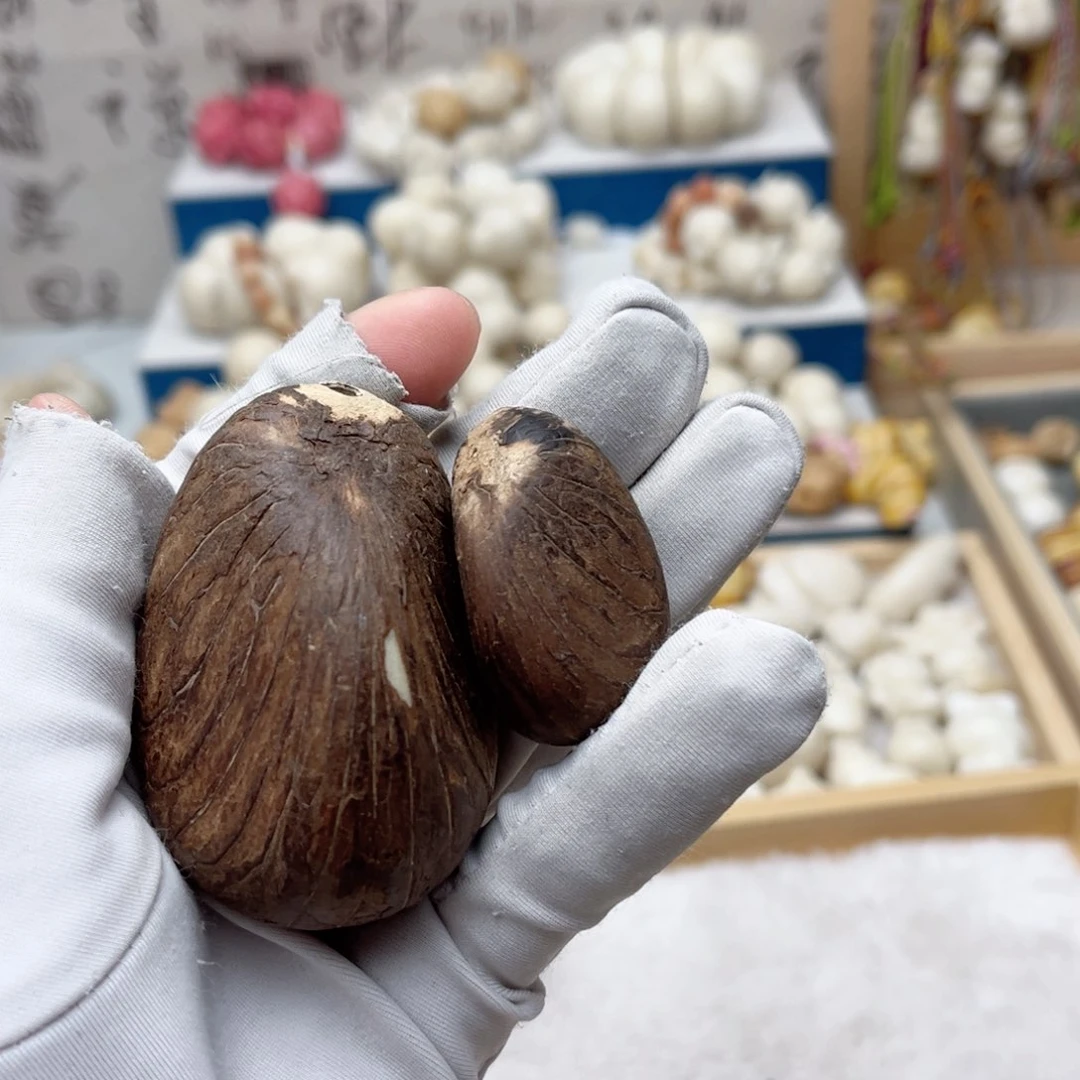 菩提根/象牙果手串