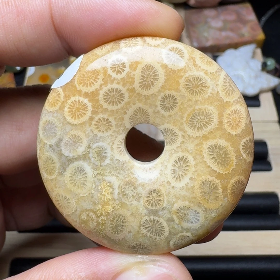 未镶嵌纯天然色有机玉石保真色硅化玉