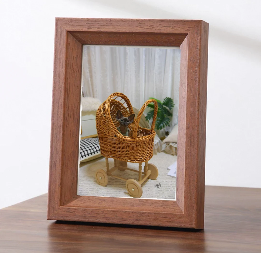 变只德文喵《相册》订金