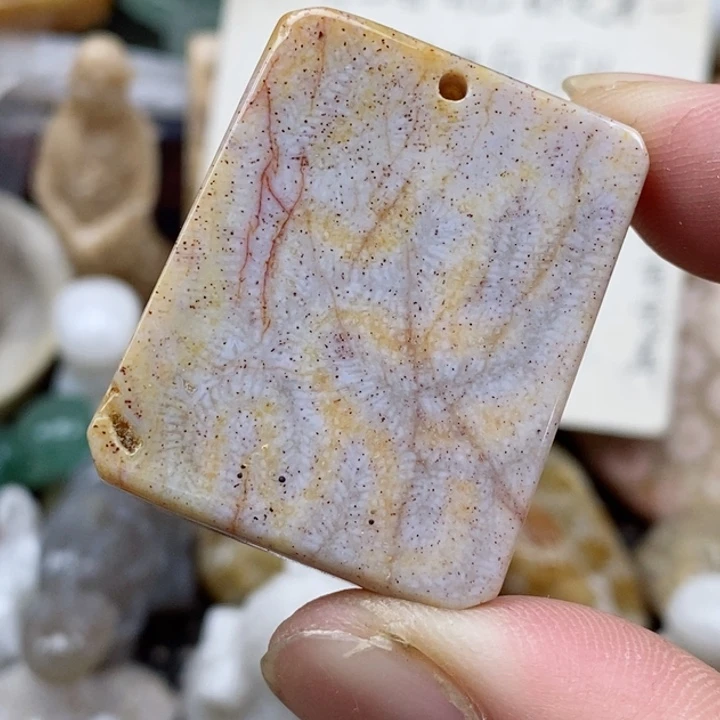 硅化珊瑚（珊瑚玉）未镶嵌颈饰有瑕 小