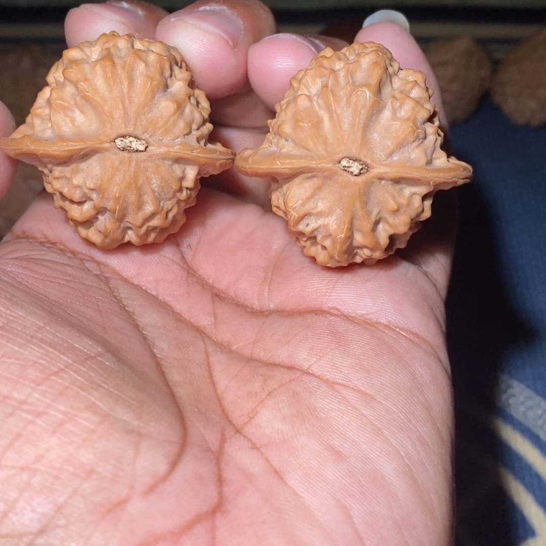 吊坠文玩核桃41尺寸全品无修瓷娃娃