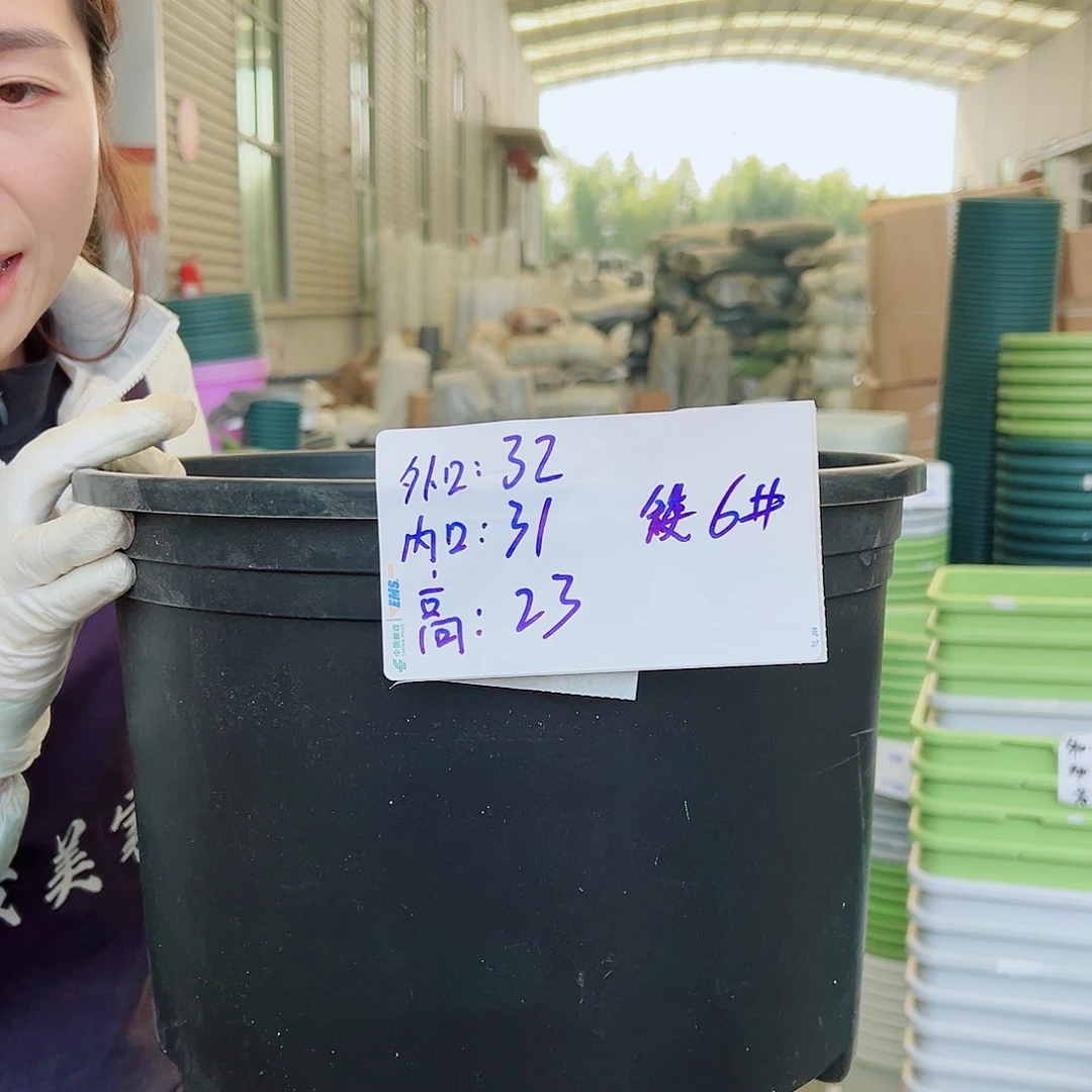 瑕疵矮胖6#无印花黑色5个无托