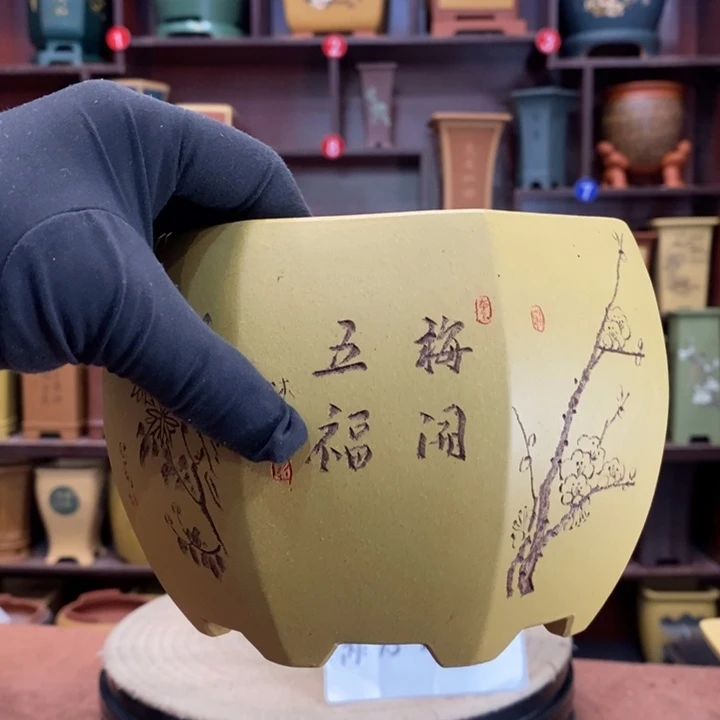 紫砂花盆紫砂花盆