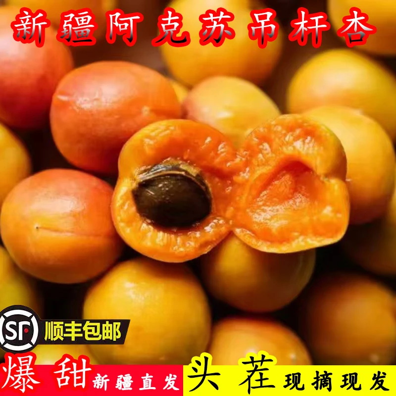 新疆吊干杏鲜果阿克苏小红杏比小白杏甜