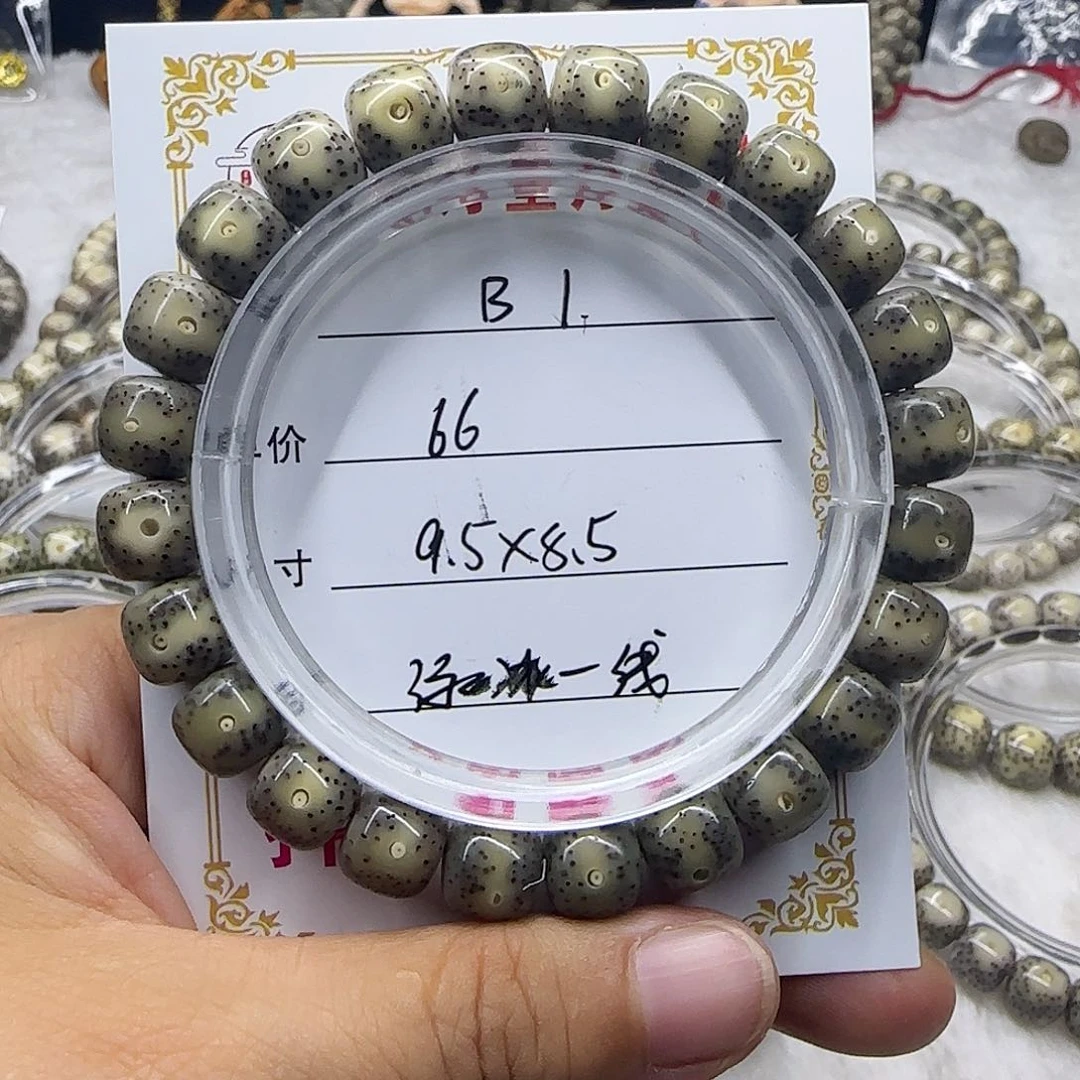 心月星月菩提一号B1