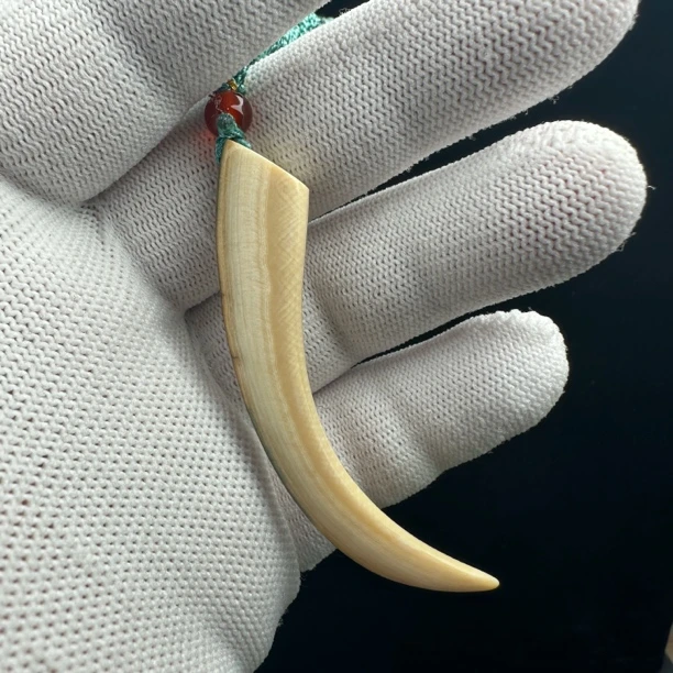 L3623天然猛犸牙牙尖69mm支持鉴定 假一罚四