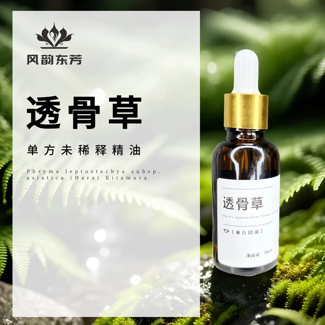 【透骨草单方精油】（纯原油未稀释）          风韵东芳原料试样香薰