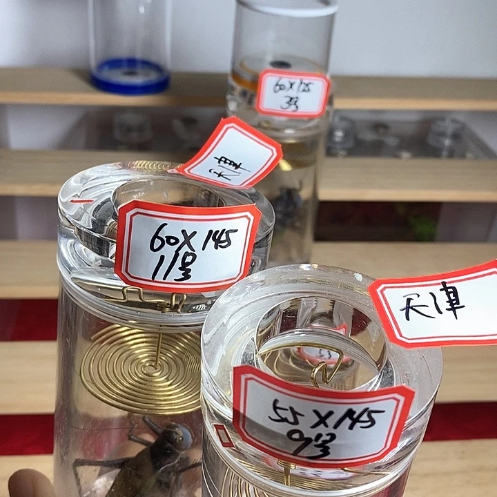 蟋蟀天津哥55-145单60-145单