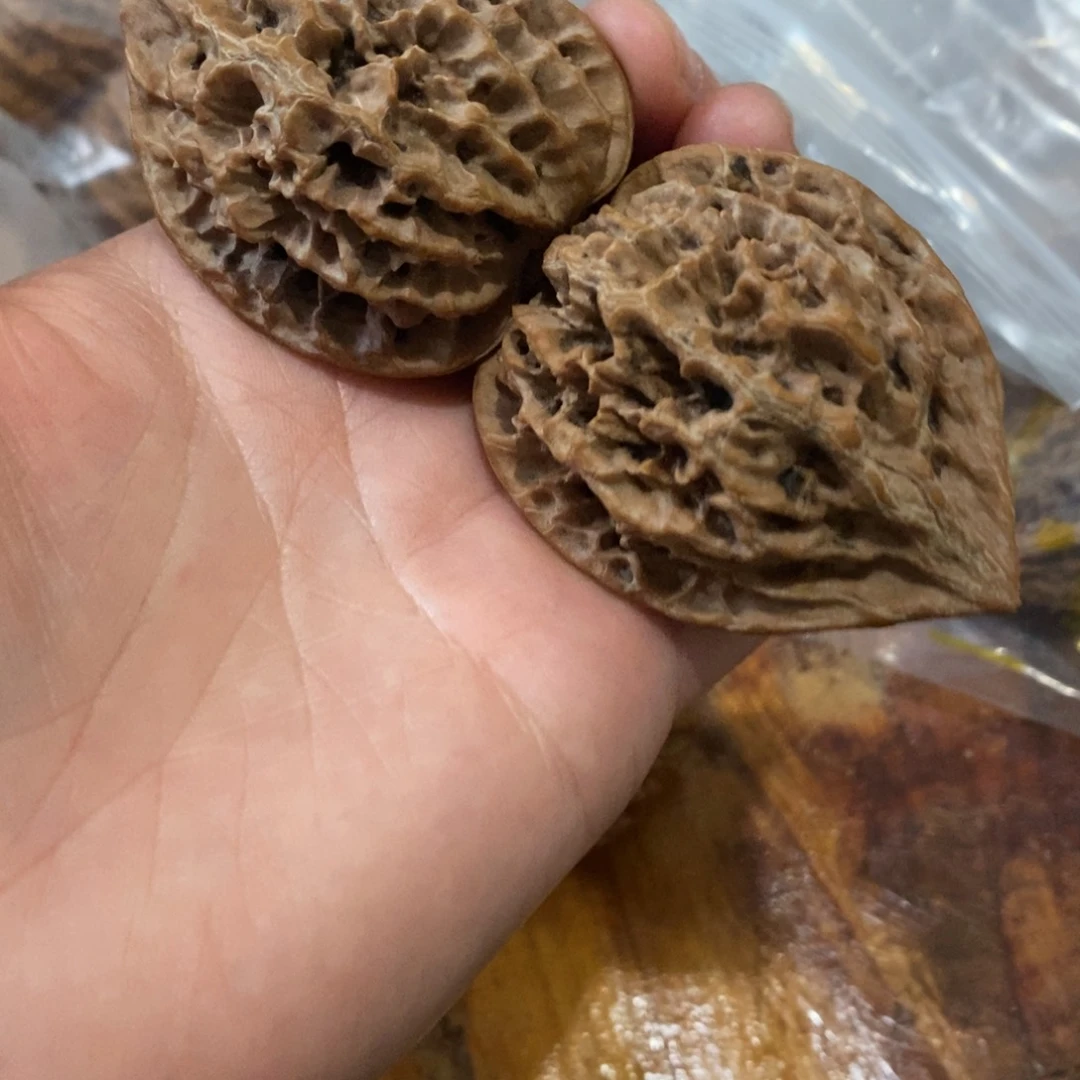 秦岭野生核桃鸡心