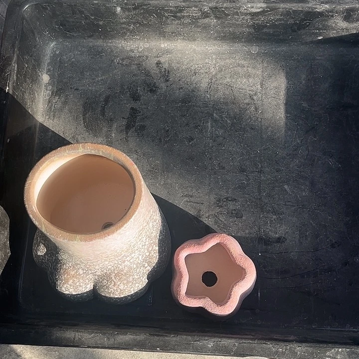 陶李得意小姐姐专属