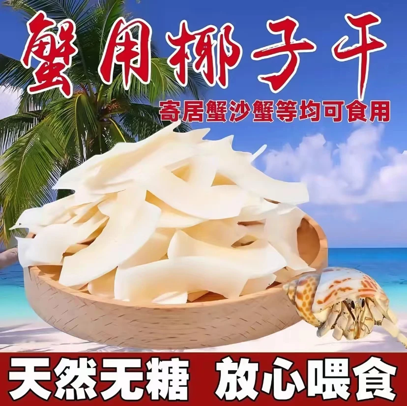 寄居蟹专用椰子片 厚椰片