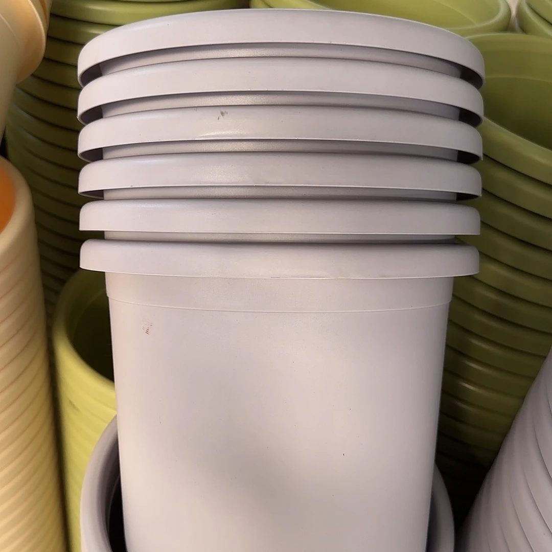 微瑕4号带托6个，淡紫色