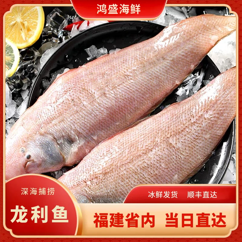 福建【特大龙利鱼】深海捕捞鲜活冰冻渔船直供新鲜到家
