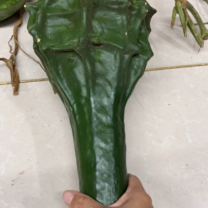 当***）鹤首葫芦鹤首葫芦鹤首葫芦