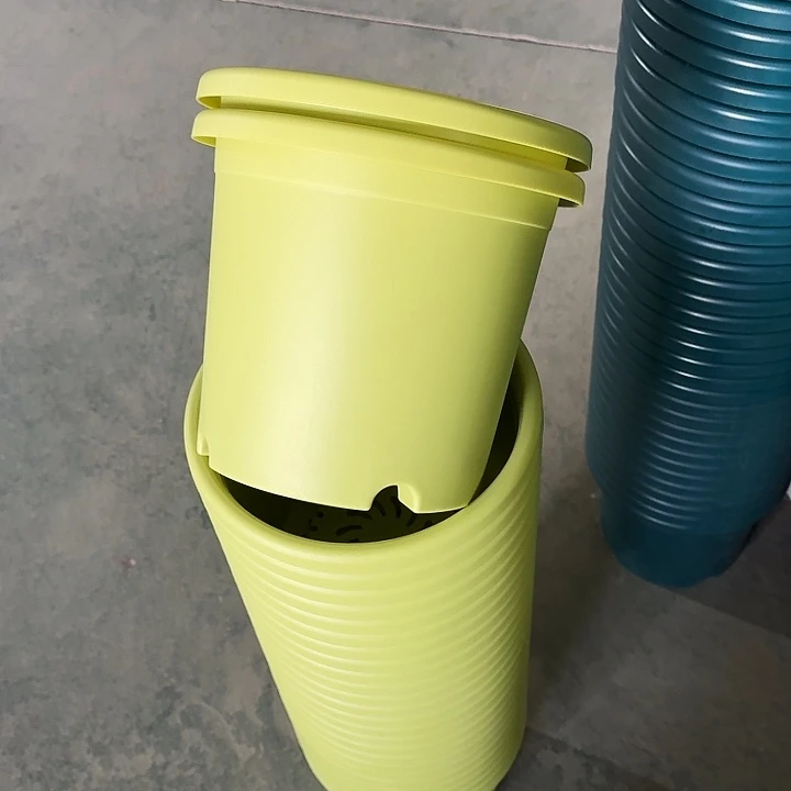 四季4#口径25果绿10个带托